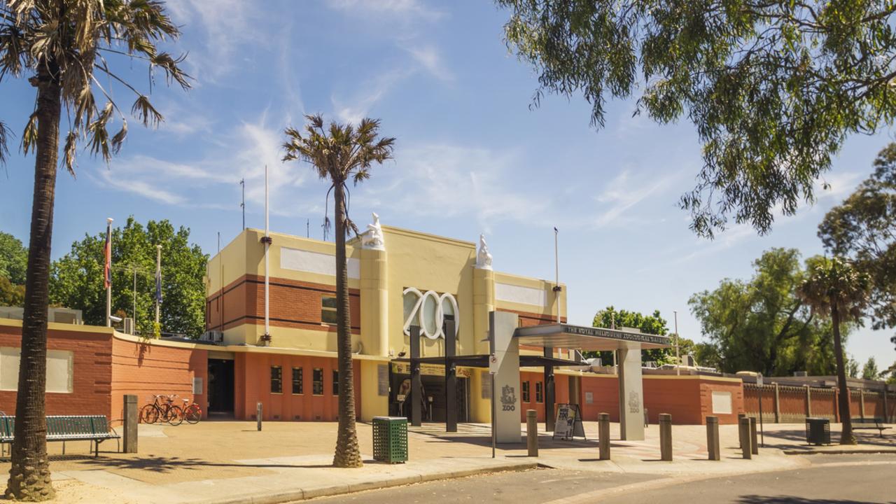 There was a lockdown at Melbourne Zoo this afternoon. Picture: iStock