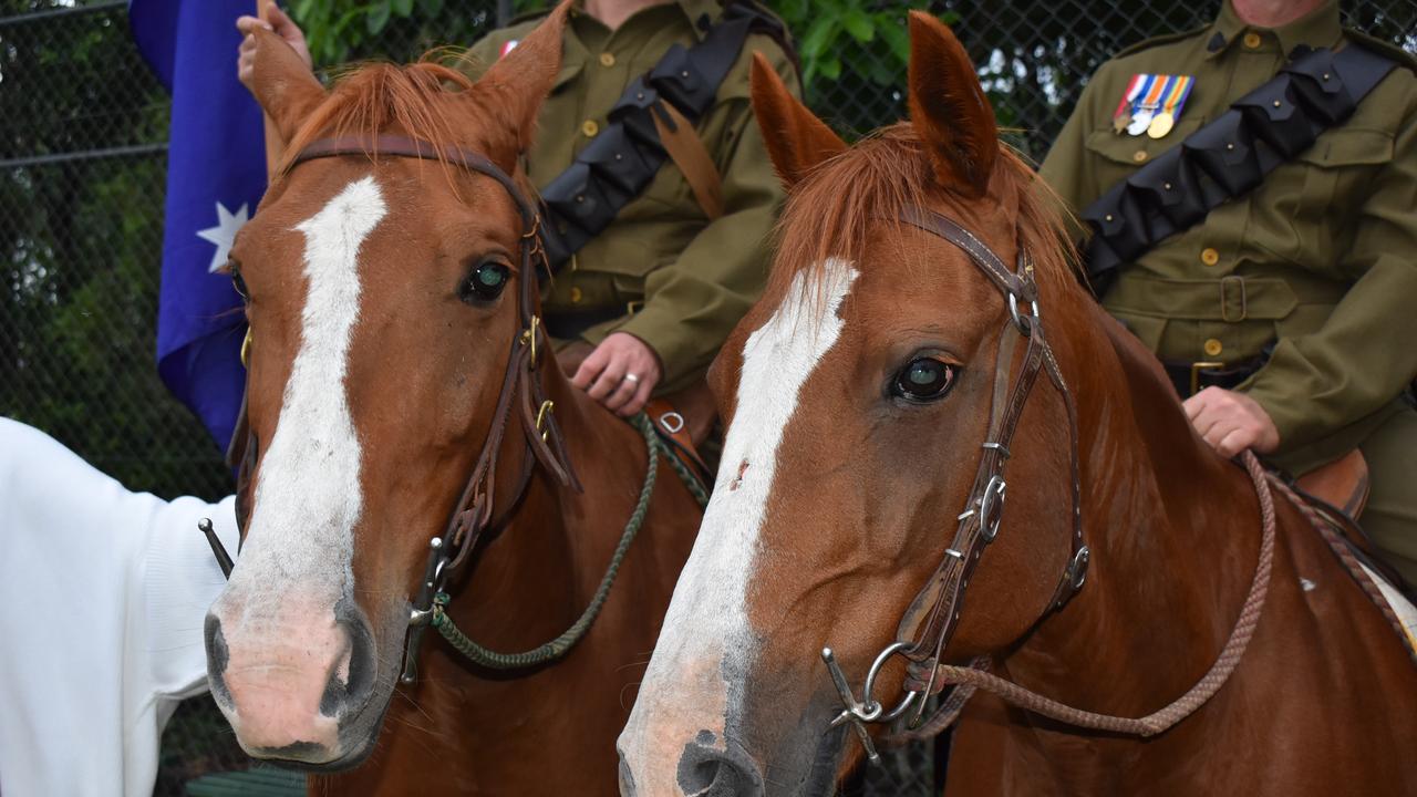 Horses at the Kuttabul dawn service at the Hampden State School Remembrance Garden 2021. Picture: Lillian Watkins