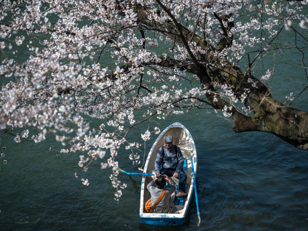 A couple row a boat past cherry blossom on Chidorigafuchi Moat, one of twelve moats that surround the Japanese Imperial Palace, on March 25, 2018 in Tokyo, Japan. The Japanese have a long-held tradition of enjoying the blooming of cherry blossoms. The blossom is deeply symbolic, it only lasts for around one week and marks the beginning of spring. It is claimed that the short-lived existence of the blossom taps into a long-held appreciation of the beauty of the fleeting nature of life, as echoed across the nation’s cultural heritage. Picture: Getty Images