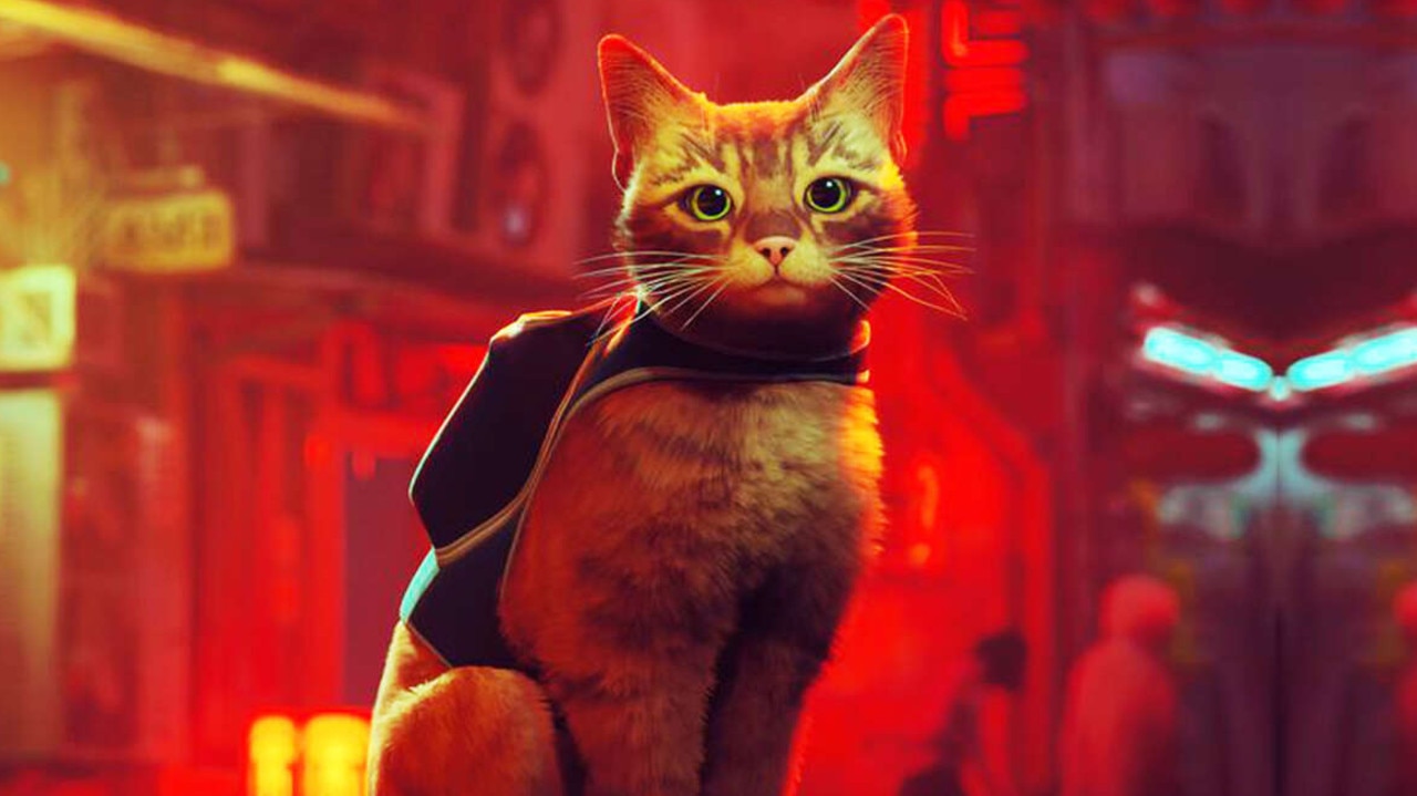 Stray. Image: Supplied.