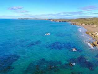 Chasing the island life? There are five properties for sale at Curtis Island now. . Picture: Aerial Media Gladstone