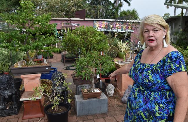 Allora Gardens Nursery owner Estelle Cornell with some of her remaining bonsais after a thief made off with $22,000 worth of the plant at the weekend. Picture: Jason Walls