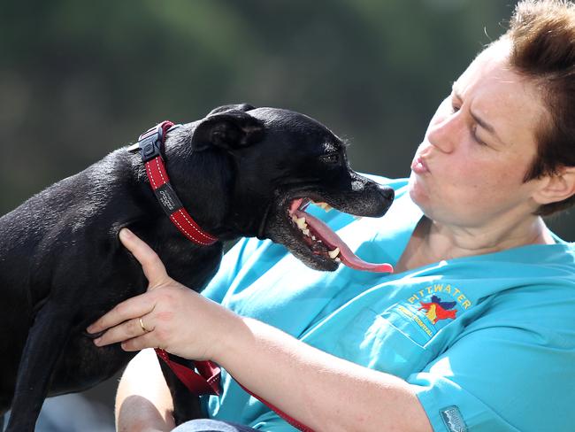 Louise Colombari with Ruby. Pic: Martin Lange.