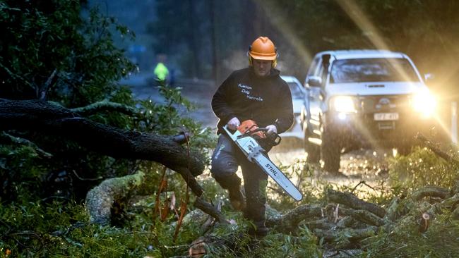 A fallen tree is cleared from the Mt Dandenong tourist road, near Sassafras. Picture: David Geraghty