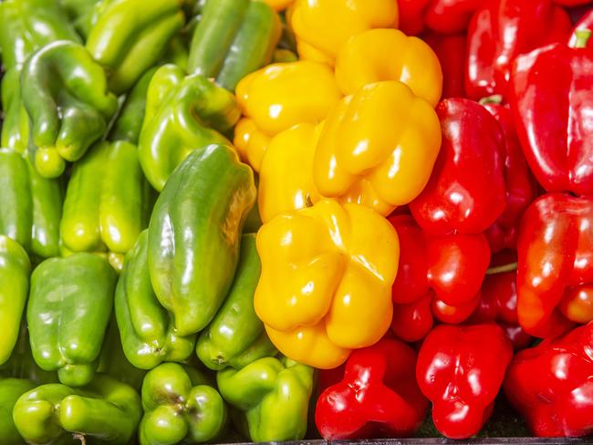 Colourful capsicums. Picture: Rob Leeson