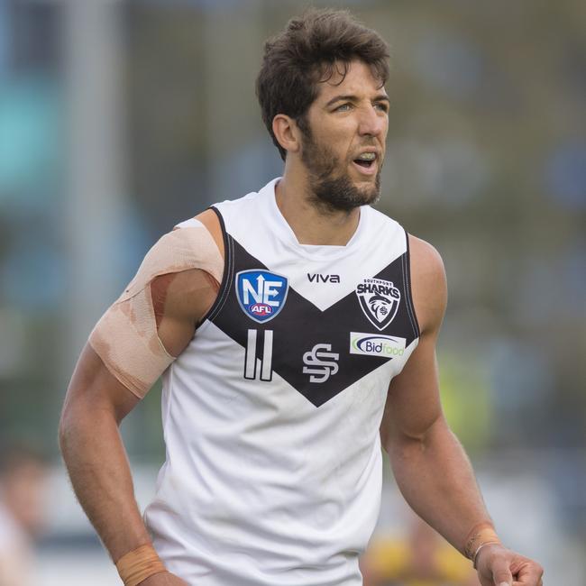 Alex Aurrichio during his NEAFL debut for the Southport Sharks against Redland at Fankhauser Reserve on Saturday, June 1, 2019. Picture: TJ Yelds/NEAFL.