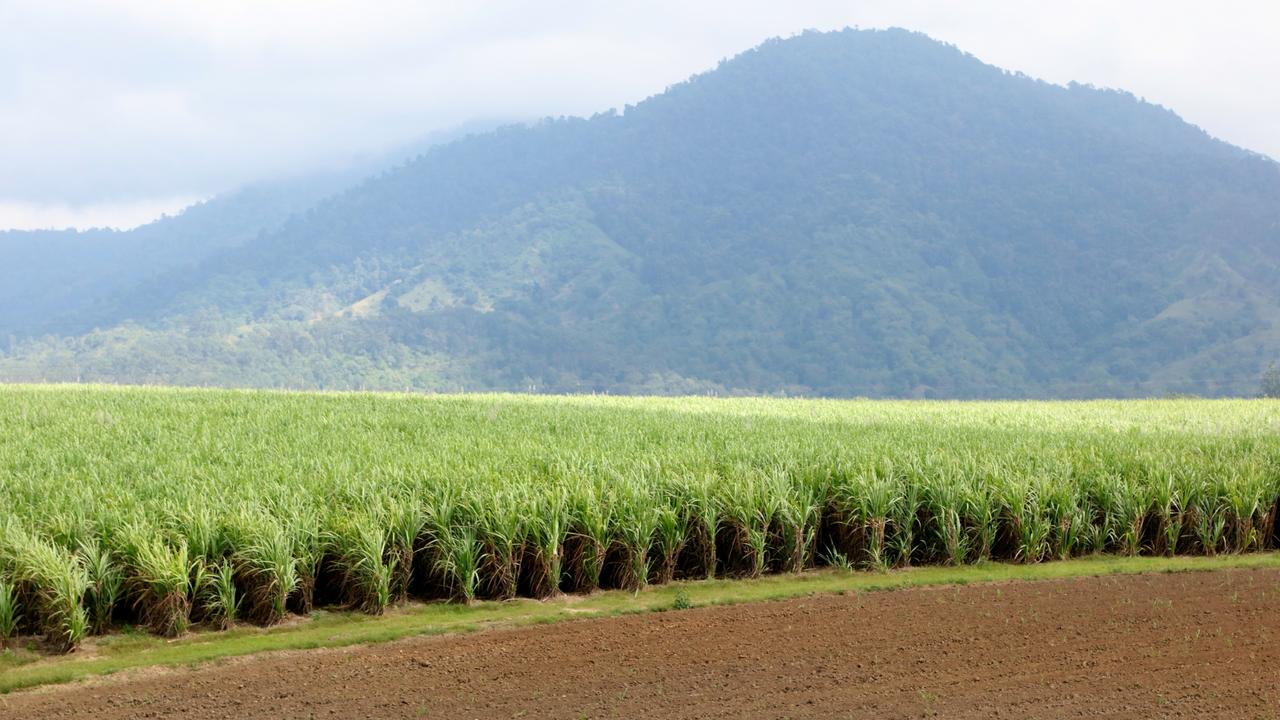 Sugarcane has been a critical industry for the Douglas Shire township of Mossman, but the mill is in financial strife again.