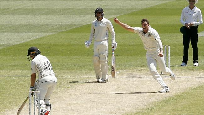 James Pattinson celebrates the wicket of Tom Latham. Picture: Getty Images