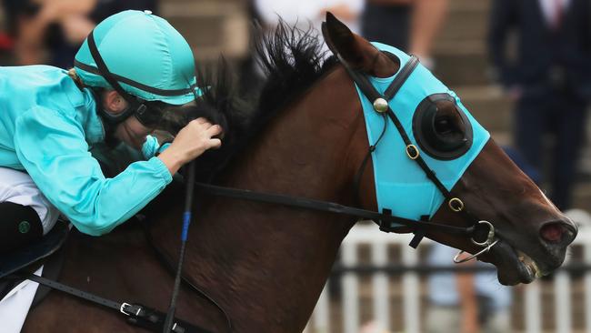 Cabeza De Vaca has an excellent second-up record and he won’t have to deal with Winx this week. Picture: Getty Images