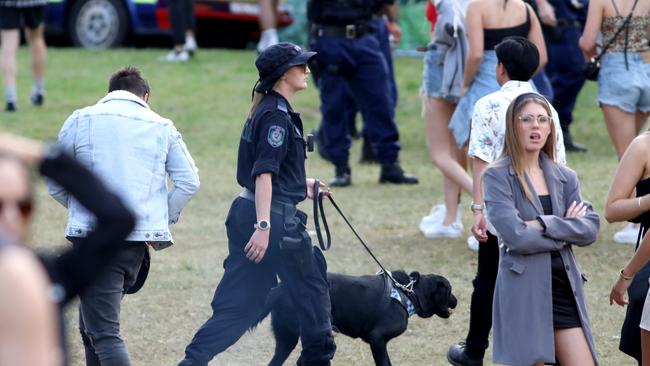 Police with sniffer dogs search people after they enter through the main entrance at the Listen Out Music Festival, Centennial Park, Sydney. 5th October 2019. Picture by Damian Shaw