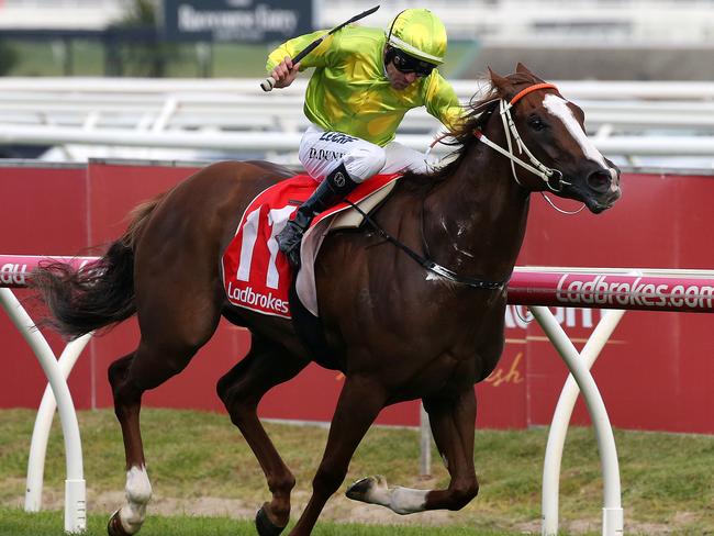 Sprightly Lass proves she is one tough customer with her win in the Bel Esprit Stakes. Picture: AAP