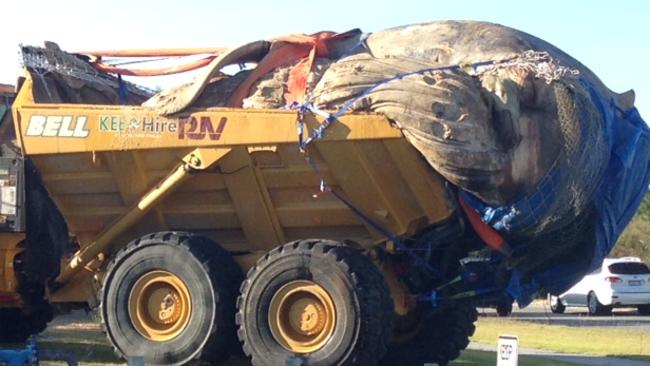 The 30-tonne humpback whale sitting outside Tamala Park landfill site, in Perth's northern suburbs. Picture Channel Nine/Channel 10