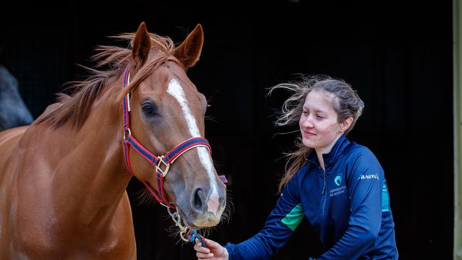 Collett with team up with the in-form Trip at Morphettville. Picture: Matt Turner