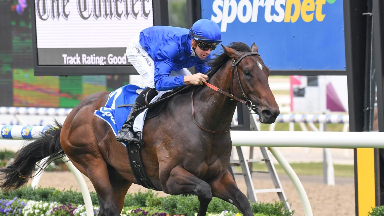 Aleppo Pine can atone this weekend. Picture: Brett Holburt/Racing Photos via Getty Images