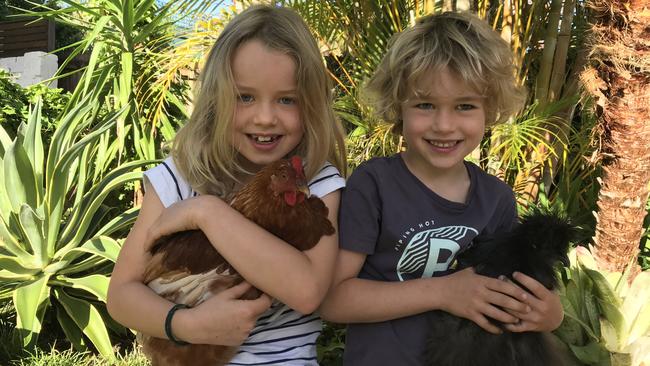 Leah Murry, 7, and her brother Connor, 5, cuddle their pet chickens that were nearly killed by foxes that raided their chicken coop in Allambie Heights.