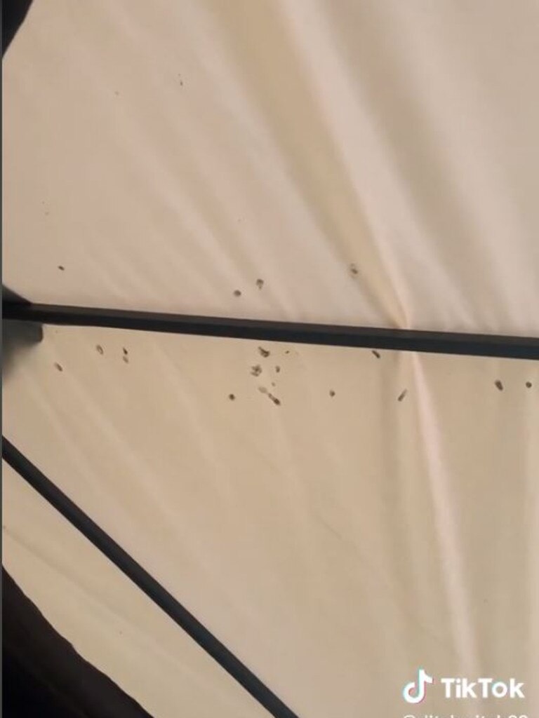 She claimed the gazeebo had bird poo on it. Picture: ditchwitch/TikTok