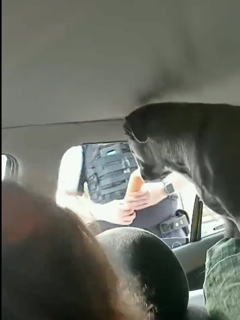 Bizarre NSW traffic stop caught on camera. Picture: Twitter/ CookerWatch