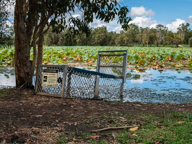 A one metre crocodile was reported at the Marlow Lagoon Dog Park on January 23, 2025, leaving the council to set up a number of crocodile traps and signs. Picture: Pema Tamang Pakhrin