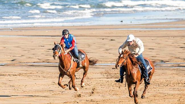 The Mackay Airport Beach Horse Races, aone of the kind event and one of the top 10 in Queensland, has been cancelled. Picture: Malcolm Griffin