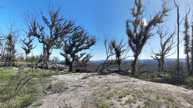 A police operation is underway after a woman fell from a lookout on McKenzie’s Saddle Walking Track at Buangla. Picture: Google