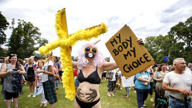 The rally attracted nearly 1000 people, with some dressing in costume for the event. Picture: NCA NewsWire / David Geraghty