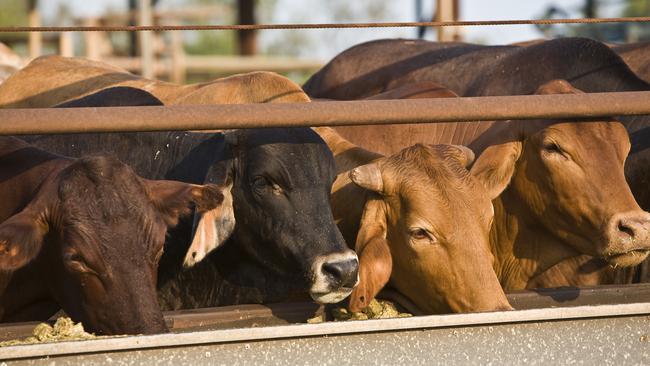 The coalition will legislate Credit: Australian Livestock Exporters’ Council.