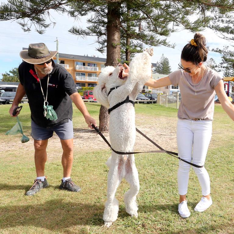 Faces of the Gold Coast. Mermaid Beach. William Kentos with dog Kirby and Maddie Schmid.