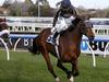 Caulfield Races.Race 8, NO 5, Mr O,ceirin ridden by Glen Boss wins,