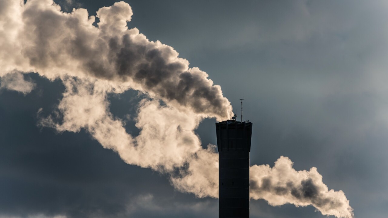 'Someone has to say it': COP28 president's fossil fuel comments were 'right'