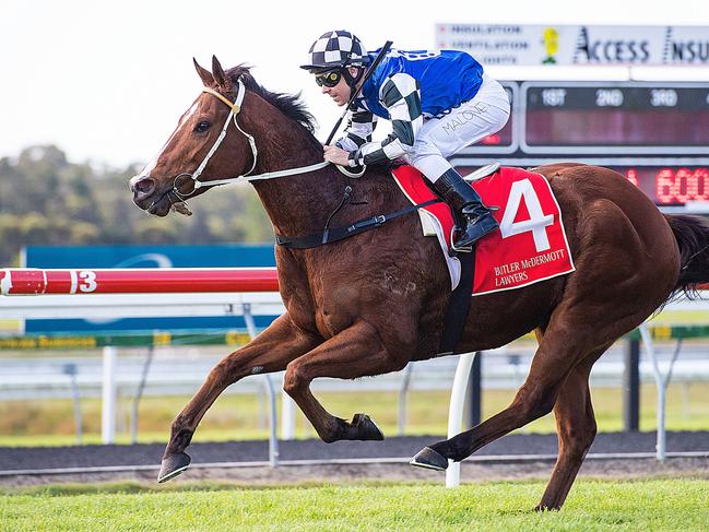 Jockey Ryan Maloney rides Tawfiq Boy to victory in race 2, the Class 3 Plate, during the Maroochydore SLSC Race Day at the Sunshine Coast Turf Club on the Sunshine Coast, Saturday, August 25, 2018. (AAP Image/Albert Perez)