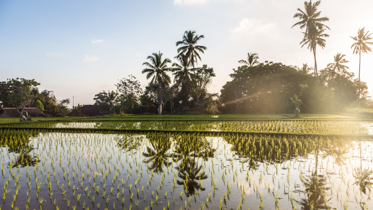 Reconnect with family and nature at Green Camp in Bali | escape.com.au