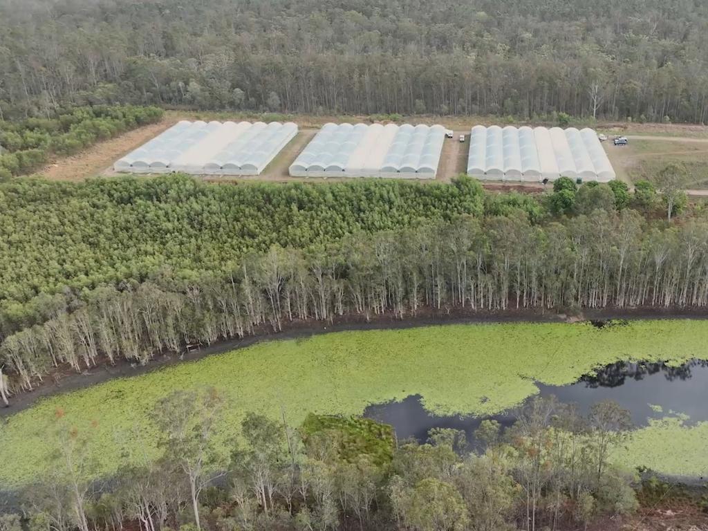 Police have seized $60 million worth of cannabis, cash, vehicles and equipment following raids connected to a grow farm on the Fraser Coast last week. Operation Victor Economy was established to target an organised crime group facilitating the commercial production and distribution of cannabis across Australia and has resulted in 18 people being charged with 80 drug related offences to date.