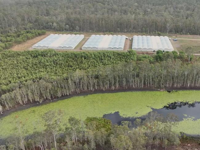 Police have seized $60 million worth of cannabis, cash, vehicles and equipment following raids connected to a grow farm on the Fraser Coast last week. Operation Victor Economy was established to target an organised crime group facilitating the commercial production and distribution of cannabis across Australia and has resulted in 18 people being charged with 80 drug related offences to date.