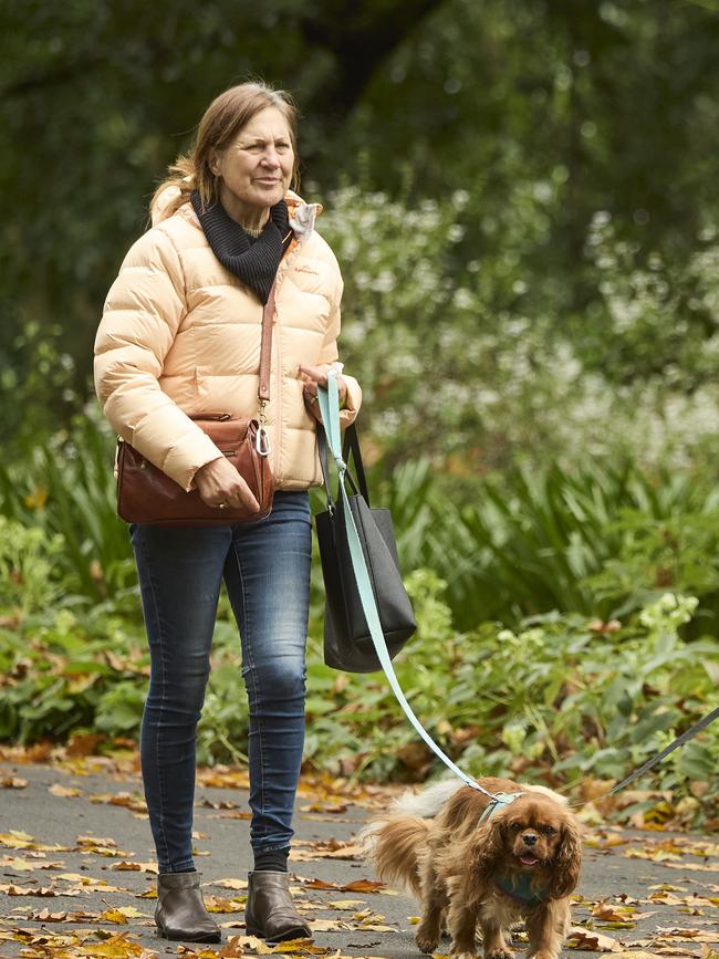Million Paws Walk at Adelaide Botanic Gardens. Picture: Matt Loxton