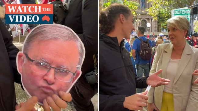 Tanya Plibersek refuses to pose with man with Anthony Albanese mask