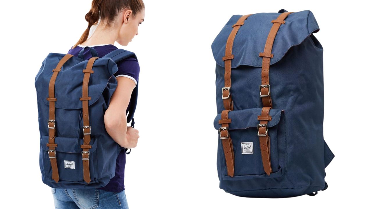 Viral TikTok Target Travel backpack vs  Travel backpack Coowoz brand  