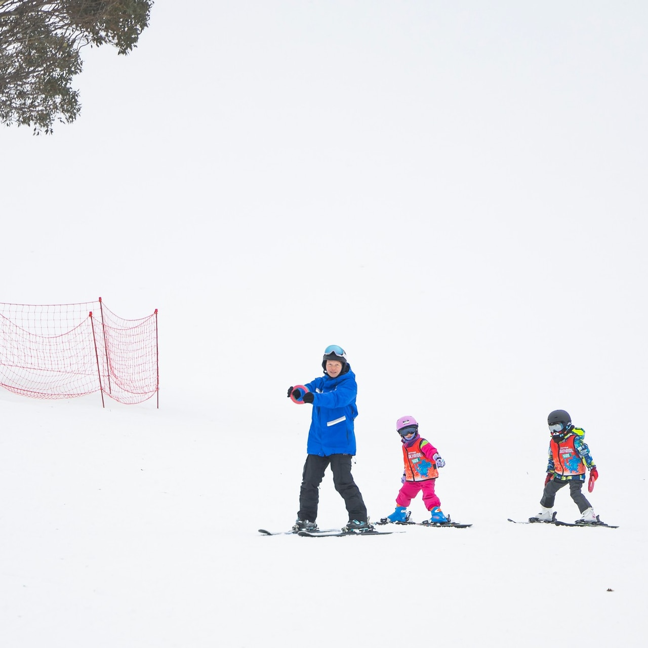 Picture: Facebook / Mt Hotham