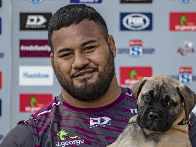 Australian professional rugby union player Taniela Tupou is pictured with his 10-week old puppy Thor. Picture: Brendan Hertel / QRU via NCA NewsWire