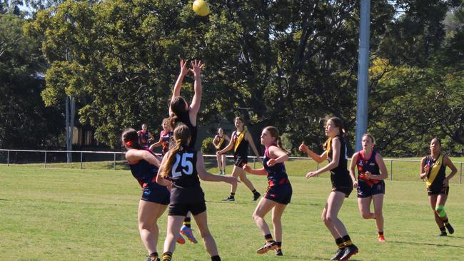 Tweed Coast Northern Rivers Tigers against Yeronga yesterday