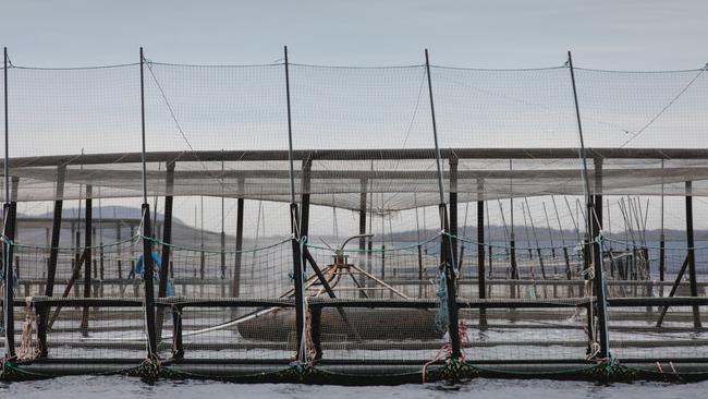 A Huon Aquaculture fish pen moored at its Yellow Bluff lease in Storm Bay had a tear in its inner net, resulting in the loss of more than 120,000 salmon. Picture: Huon Aquaculture