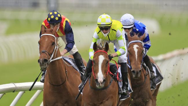 Nash Rawiller on Eduardo (yellow) gets over the top of Nature Strip in The Shorts. Picture: Mark Evans–Getty Images