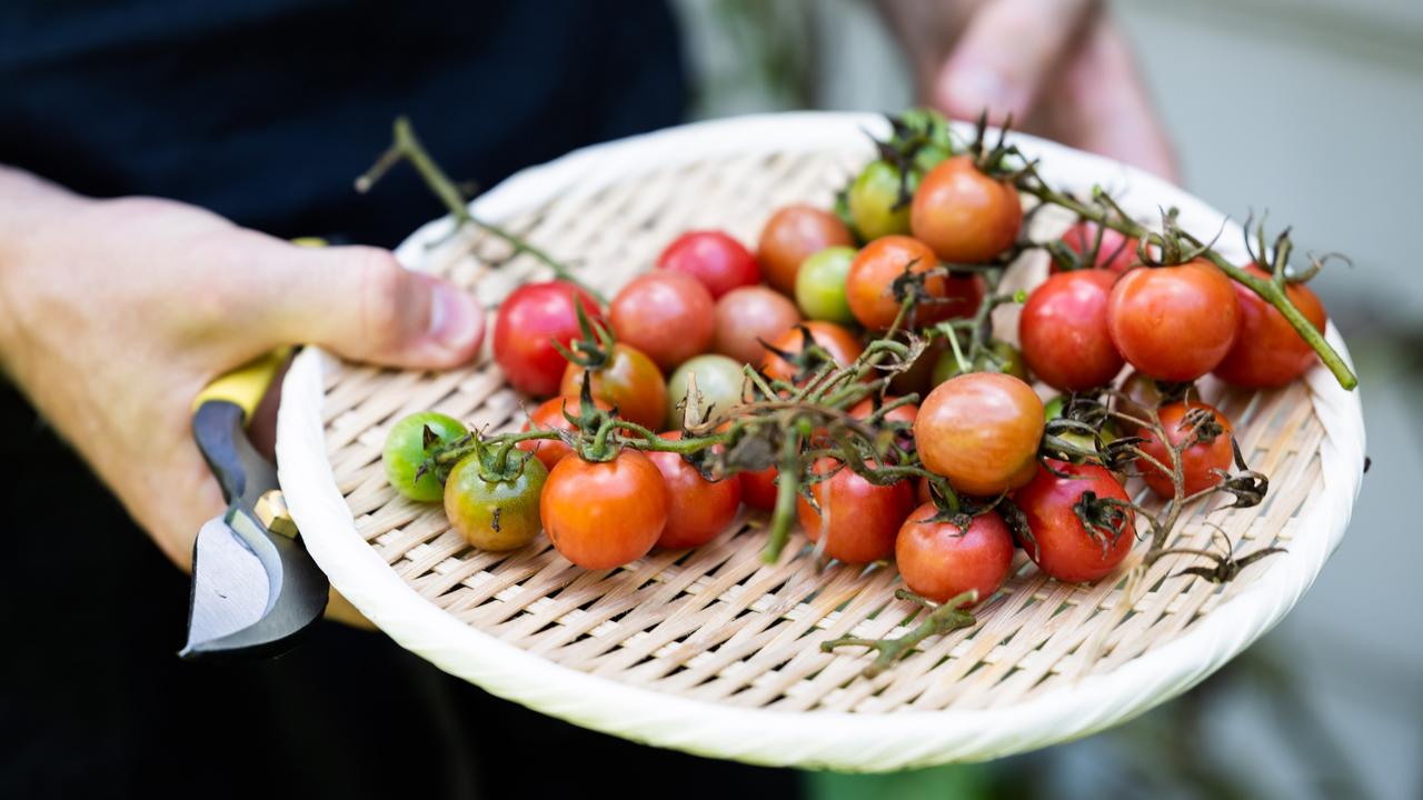 Chiswick’s chefs are less exposed to produce shortages and price fluctuations from natural and economic disasters because they know what is growing in the kitchen garden. Picture: supplied