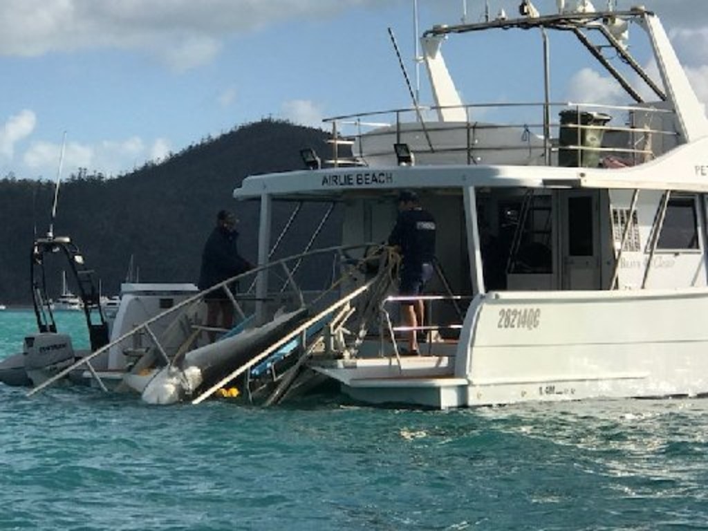 A shark was caught in a drum line in the Whitsundays after last year's shark attacks.