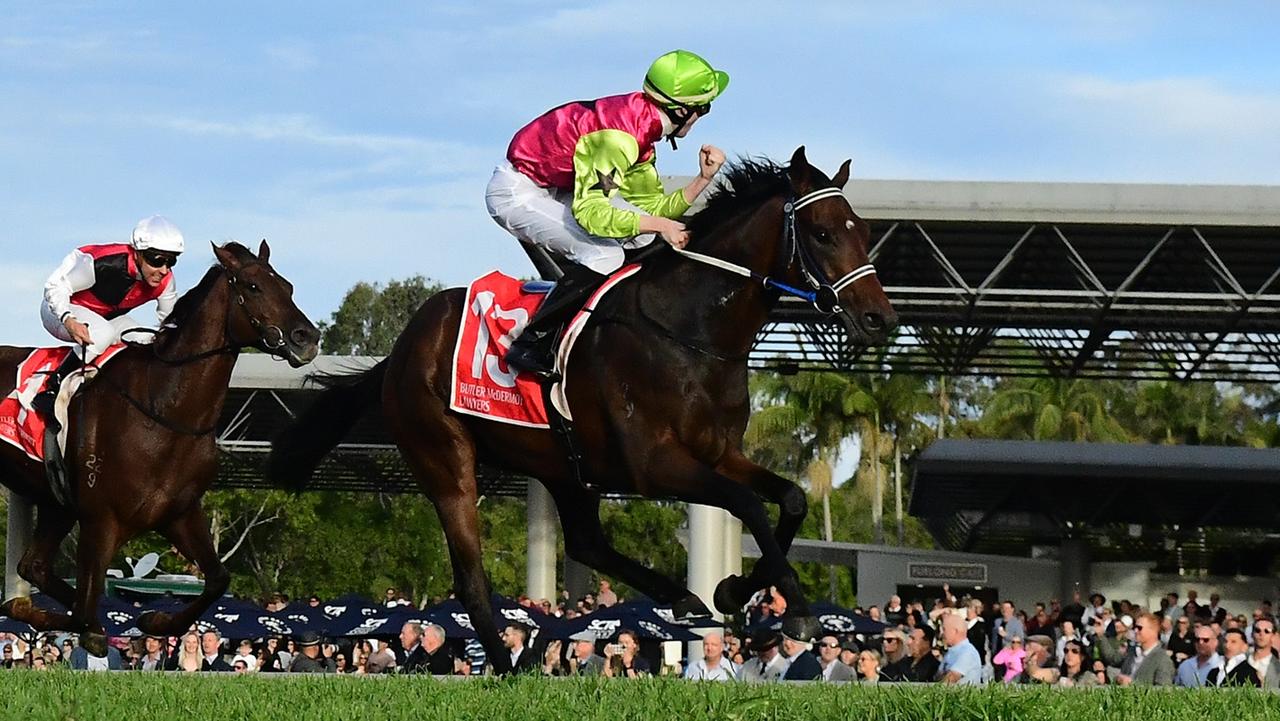 Sunshine Coast emerges as unlikely breeding ground for Melbourne Cup