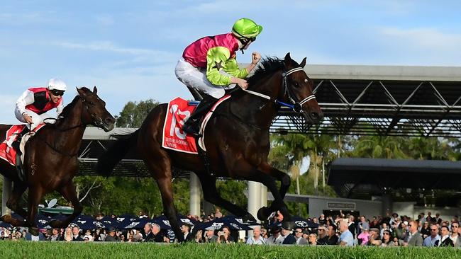 Knight's Choice winning the Group 3 Winx Guineas on his home track at the Sunshine Coast in 2023. Picture: Grant Peters/Trackside Photography