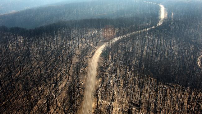 Under Victorian law people found guilty of recklessly or intentionally causing a bushfire face the same maximum penalty of up to 15 years in jail. Picture: Getty Images