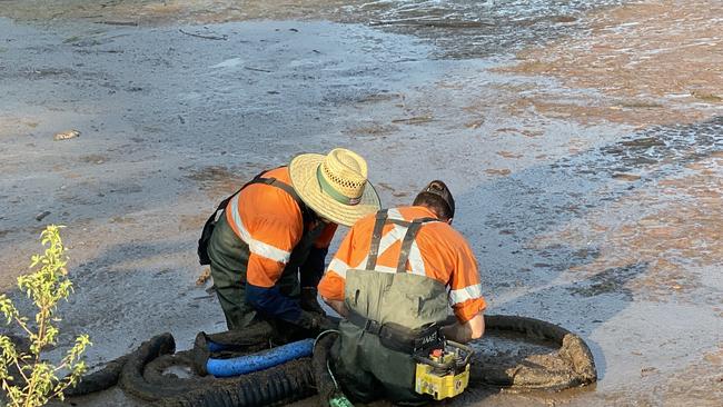 Workers roll out a suction device to clean up scum and dead fish.