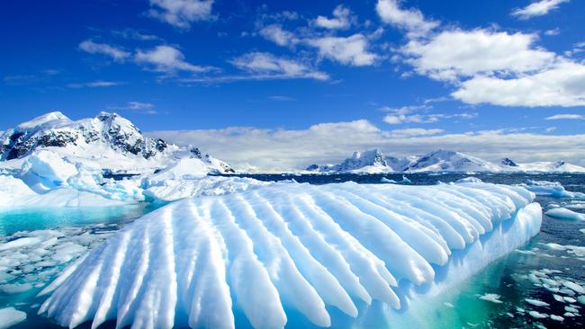 Fancy a dip in the Antarctic Peninsula?