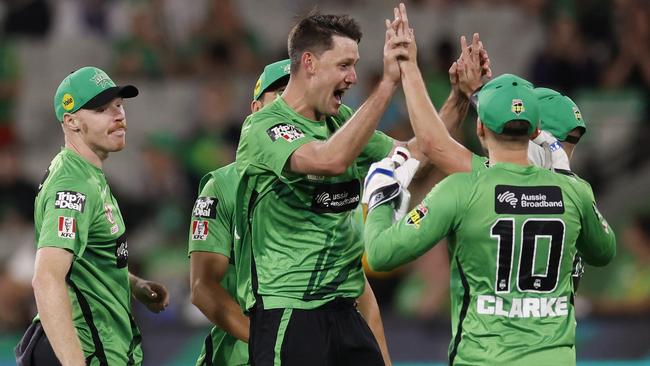 Beau Webster celebrates a wicket. Picture: Darrian Traynor / Getty Images