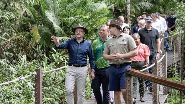 Prime Minster Anthony Albanese and Queensland Premier Steven Miles in the rainforest on Skyrail Cairns.